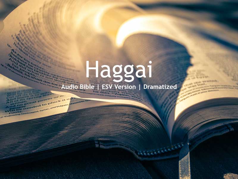 Haggai ESV Dramatized Bible In A Year
